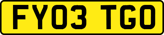 FY03TGO