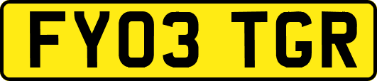 FY03TGR