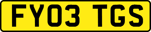 FY03TGS
