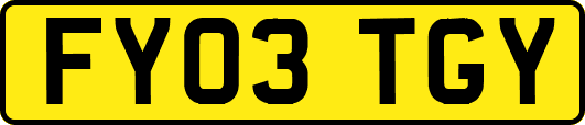 FY03TGY