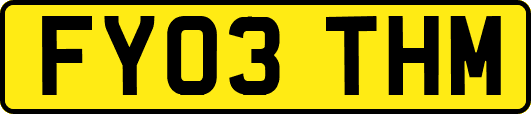FY03THM
