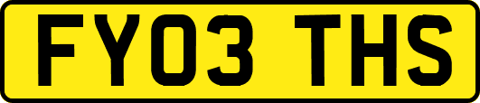 FY03THS