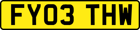 FY03THW