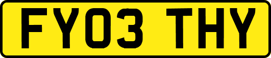 FY03THY