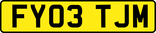 FY03TJM
