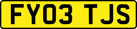 FY03TJS