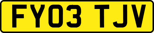 FY03TJV