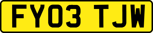 FY03TJW