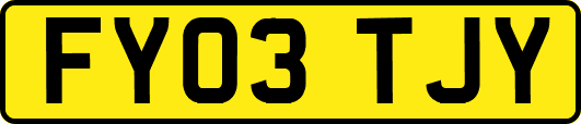 FY03TJY