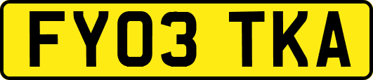 FY03TKA