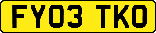 FY03TKO