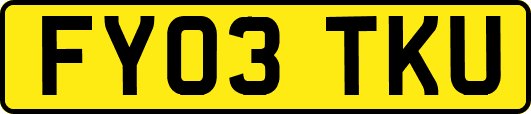 FY03TKU