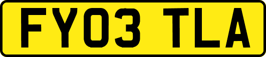 FY03TLA