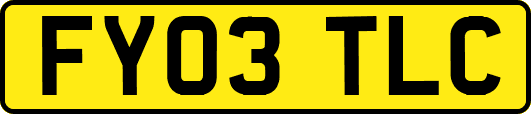 FY03TLC