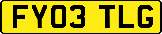 FY03TLG