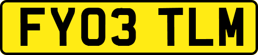 FY03TLM