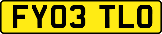 FY03TLO