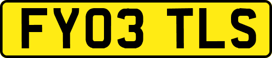 FY03TLS