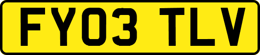 FY03TLV