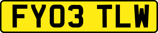 FY03TLW