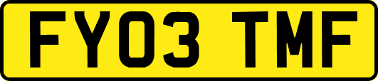 FY03TMF