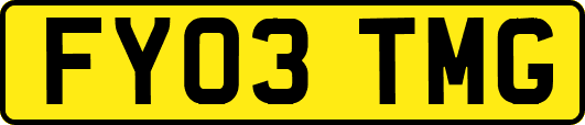 FY03TMG