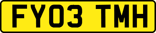 FY03TMH
