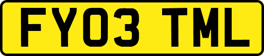 FY03TML