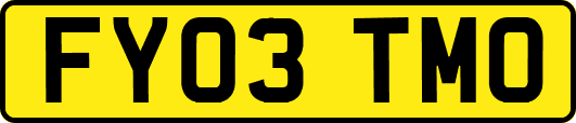 FY03TMO