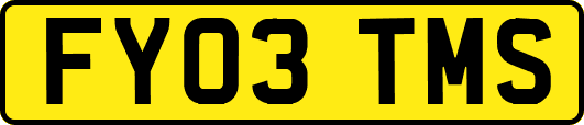 FY03TMS
