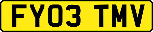 FY03TMV
