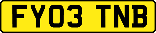 FY03TNB