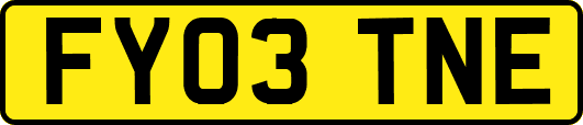 FY03TNE