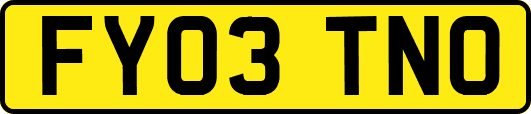 FY03TNO