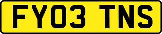 FY03TNS