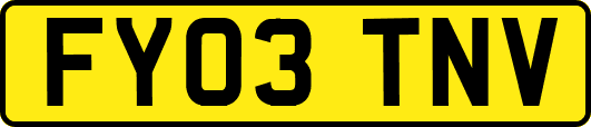 FY03TNV