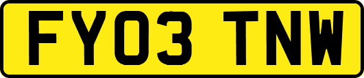FY03TNW