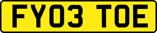 FY03TOE