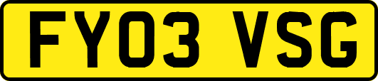 FY03VSG