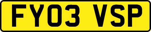 FY03VSP