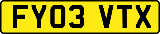 FY03VTX