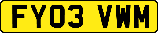 FY03VWM