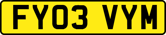 FY03VYM