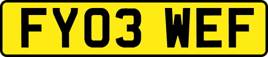 FY03WEF