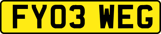 FY03WEG