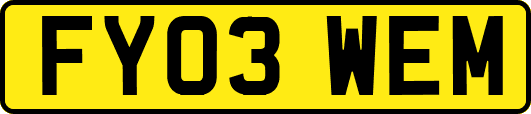 FY03WEM