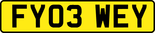 FY03WEY