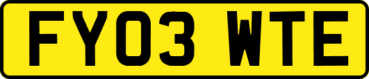 FY03WTE