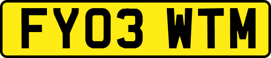 FY03WTM