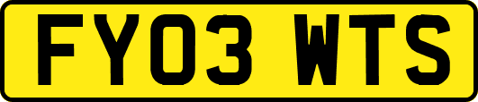 FY03WTS